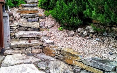 The Benefits of Stone Steps